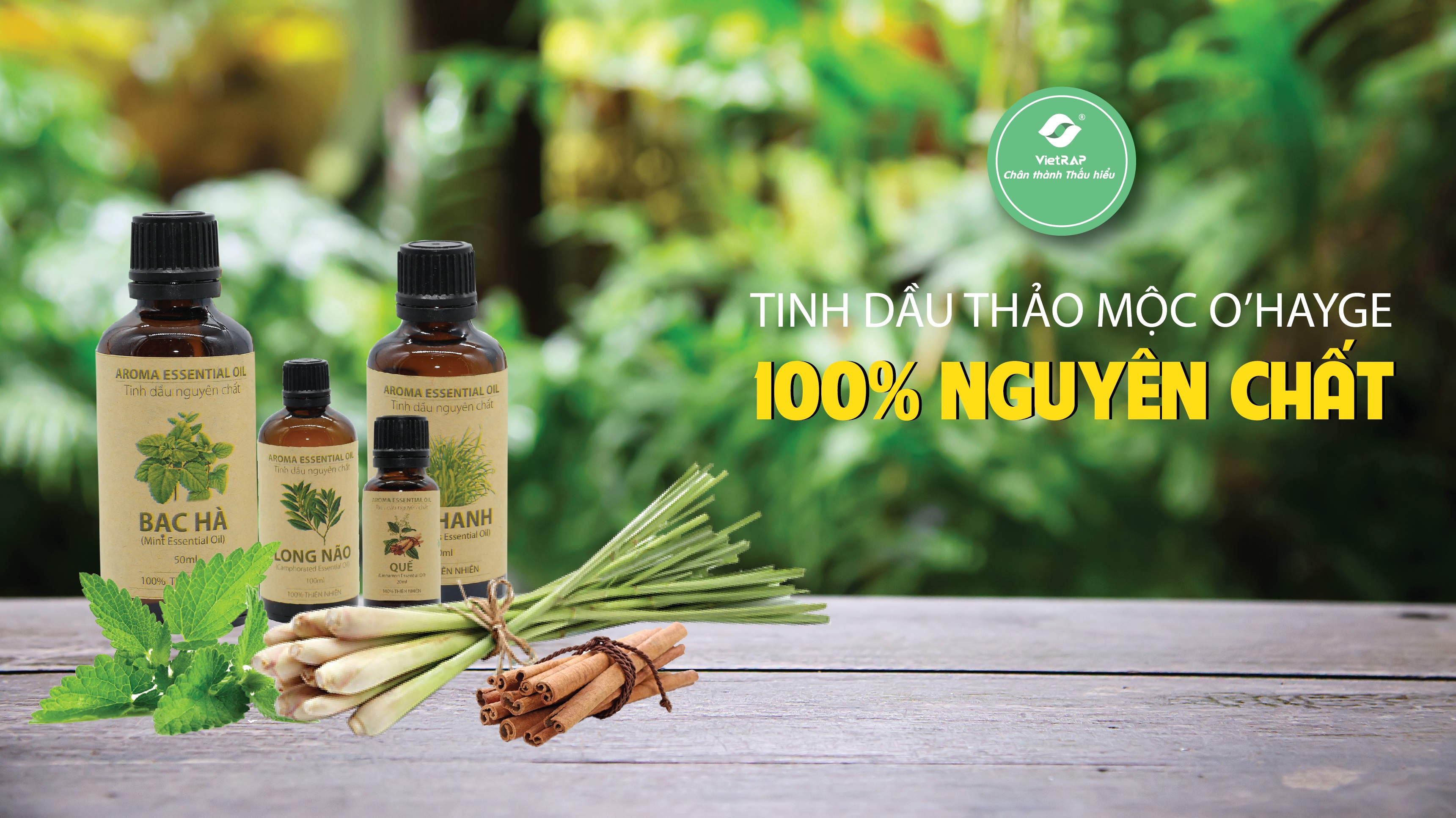 tinh-dau-thien-nhien-co-the-giup-ngan-ngua-virus-corona-va-cac-benh-ho-hap-khac